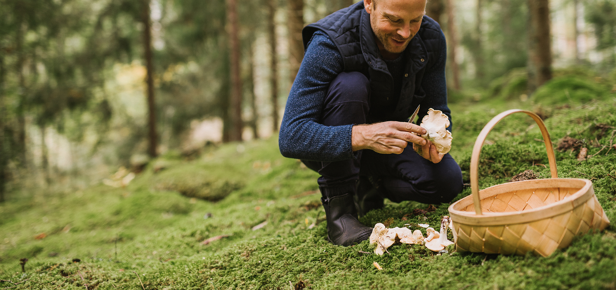 champignons intoxications