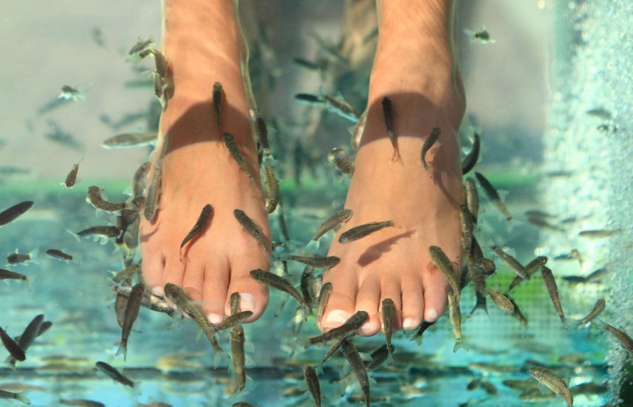 Fish Pedicure